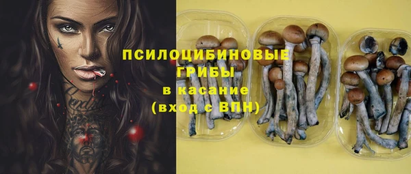 прущий лед Ладушкин