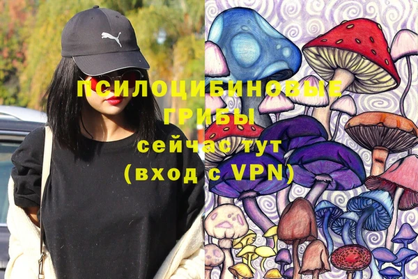 MESCALINE Лабытнанги