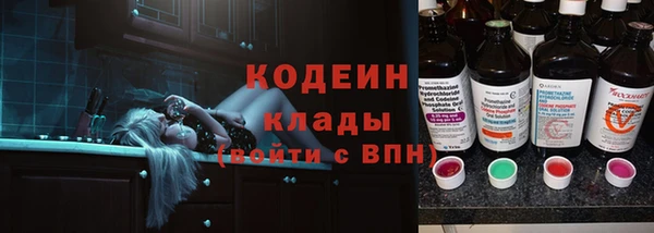 гашик Лагань