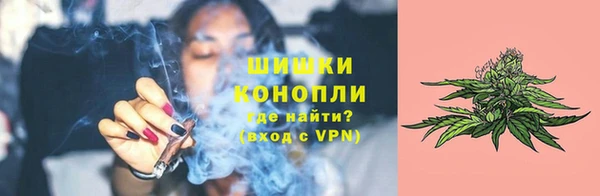 гашик Лагань