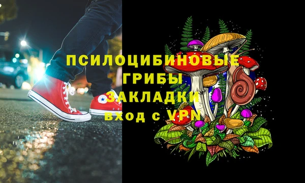 гашик Лагань