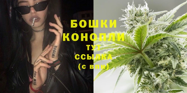 спиды Яровое