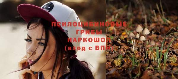 прущий лед Ладушкин