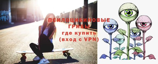 гашик Лагань