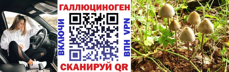 Галлюциногенные грибы Psilocybine cubensis  Купить  Изобильный 